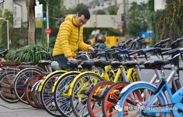 为什么很少有人骑自行车通勤？深度剖析与趋势展望